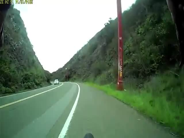 Hitting a Deer at 30mph on a Bike  (VIDEO)