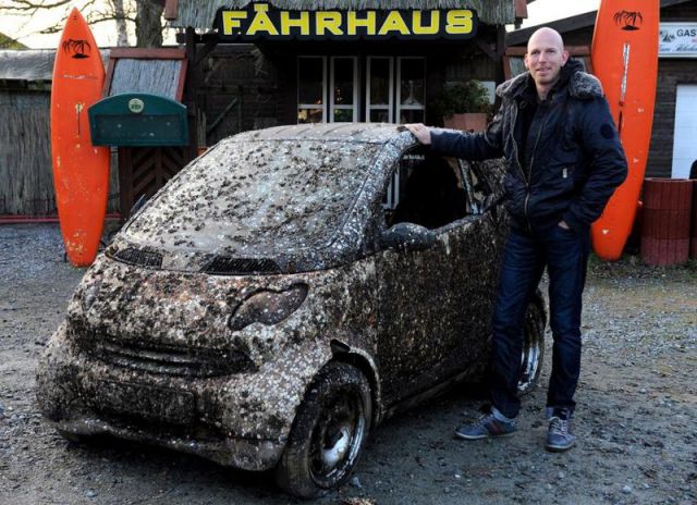 A Smart Car Is Recovered from Its Sea Grave