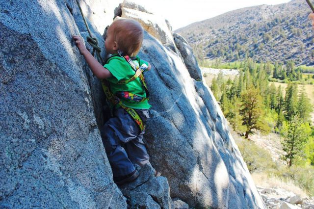 The Most Travelled Toddler Who Has Hiked around 40 US States