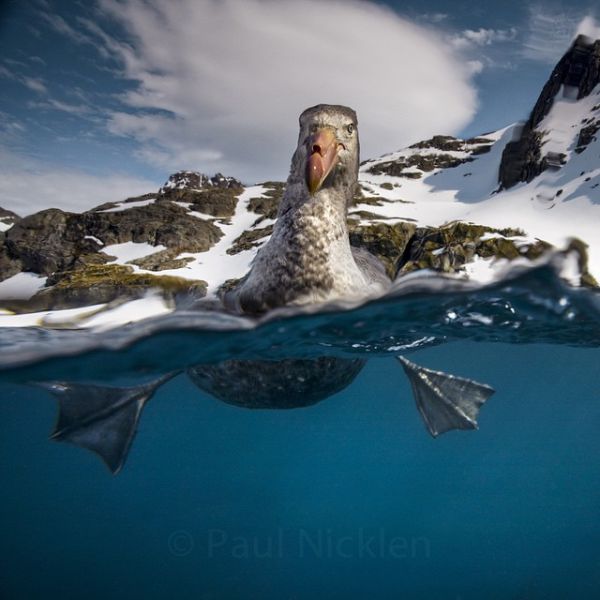 National Geographic’s Instagram Account Totally Awesome