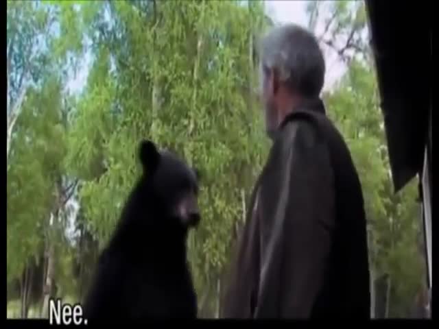 Old Man Pimp Slaps a Bear like It's Nothing  (VIDEO)