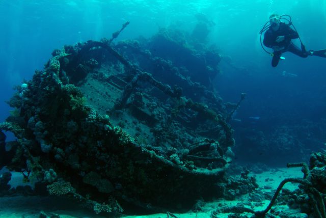 Stuff Just Looks So Much Scarier Underwater (30 pics) - Izismile.com