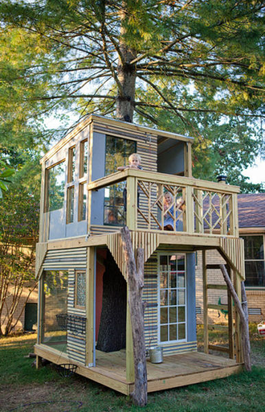 A House Built around a Tree