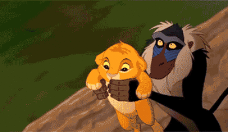 The Funniest GIFs to Make Your Day