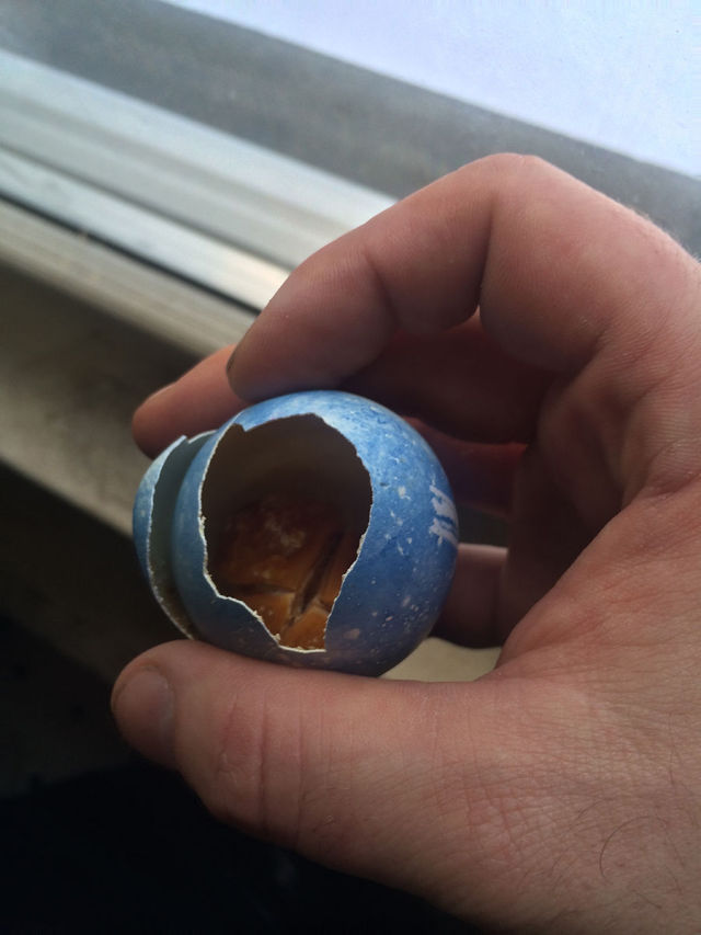Have You Ever Seen What is Inside a 25 Year Old Easter Egg?