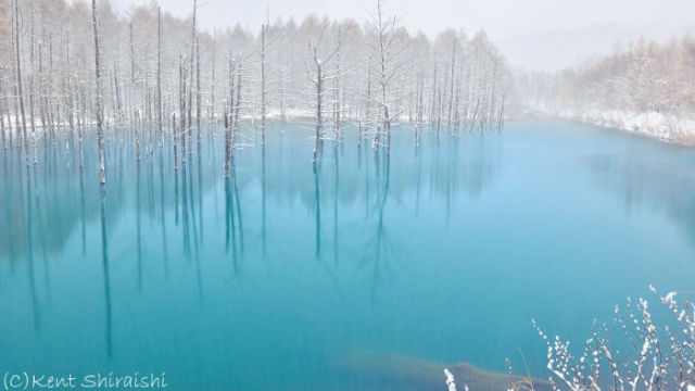 A Stunning Color Changing Pond in Japan