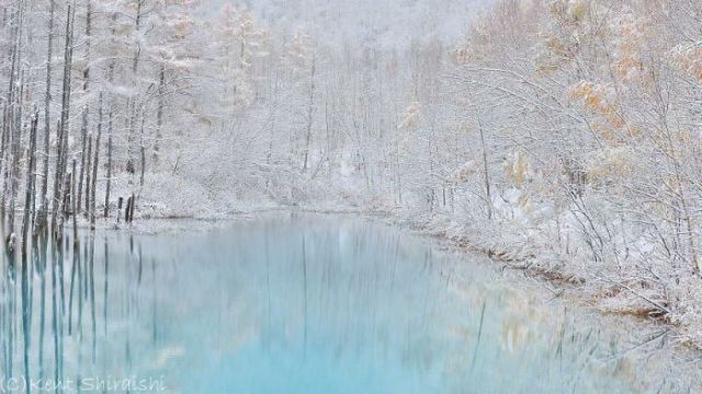 A Stunning Color Changing Pond in Japan