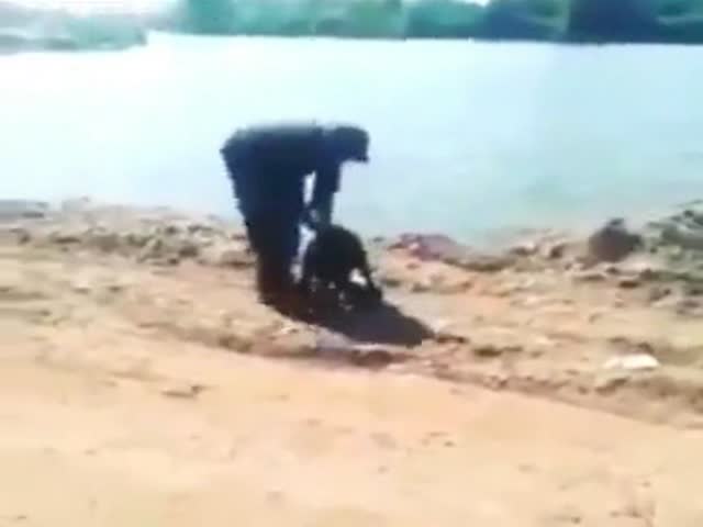 Guy Tries to Throw His Dog into the Water  (VIDEO)