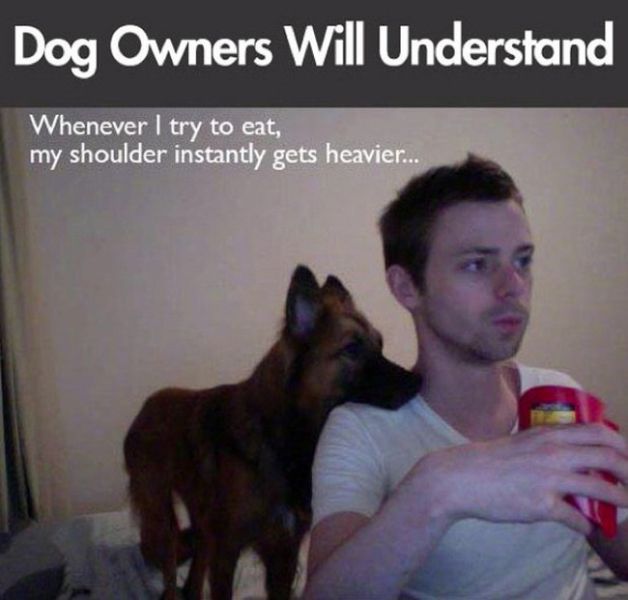 Stuff That Only Dog Owners Can Totally Relate to