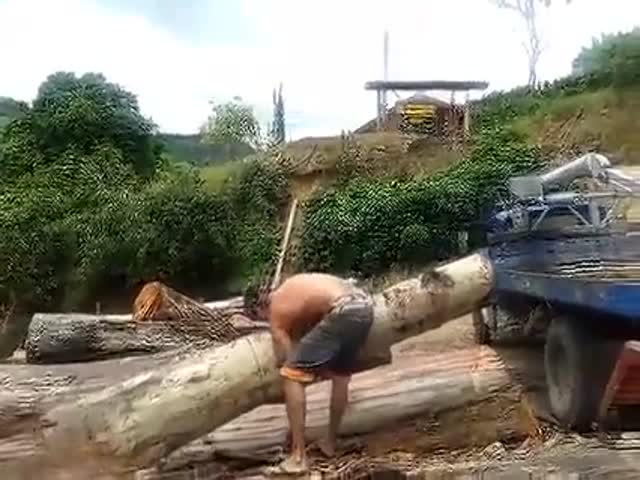 Strong Man Lifts a Tree Trunk  (VIDEO)