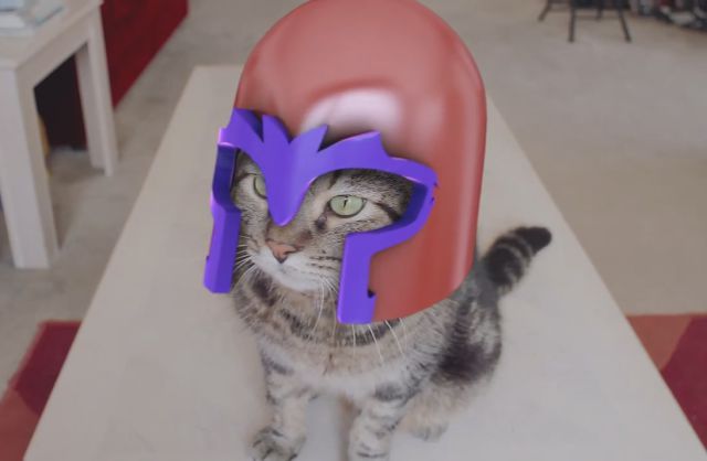 X-Cats: Magneto Cat and Cyclops Cat