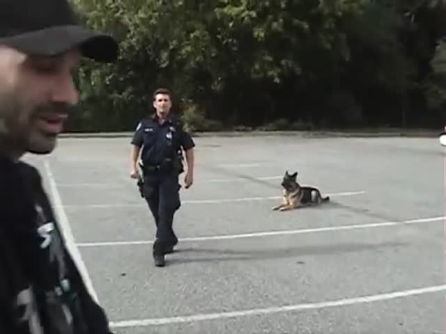 Smart Police Dog Can Get In and Out of the Police Car All by Himself  (VIDEO)