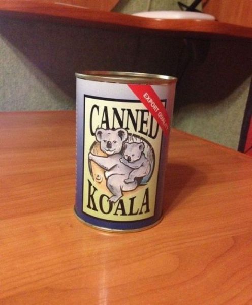 It’s Canned Koala for Dinner Tonight