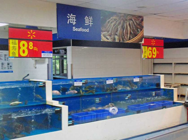 Stuff You Will Only See in a Chinese Walmart