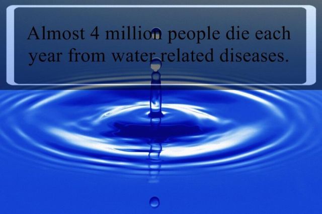 Everything You’ve Ever Needed to Know about Water
