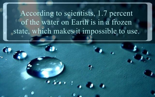 Everything You’ve Ever Needed to Know about Water