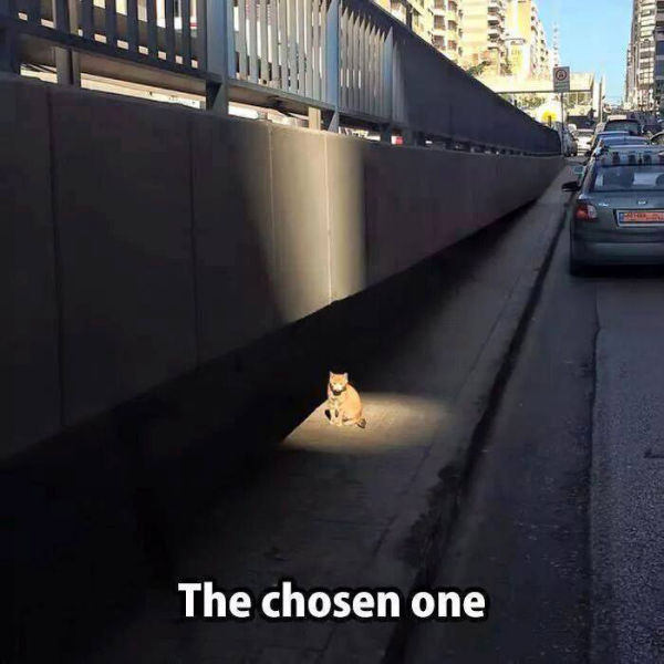 Funny Picdump
