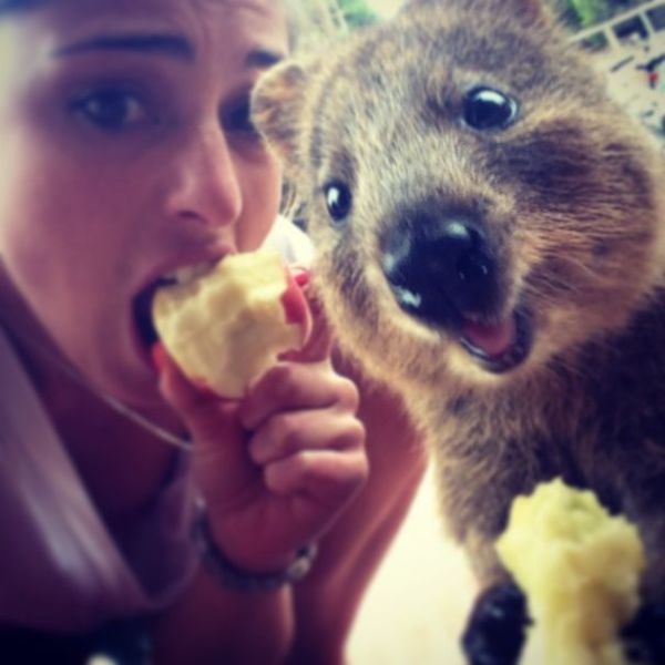 The Cutest Australian Selfie Trend at the Moment