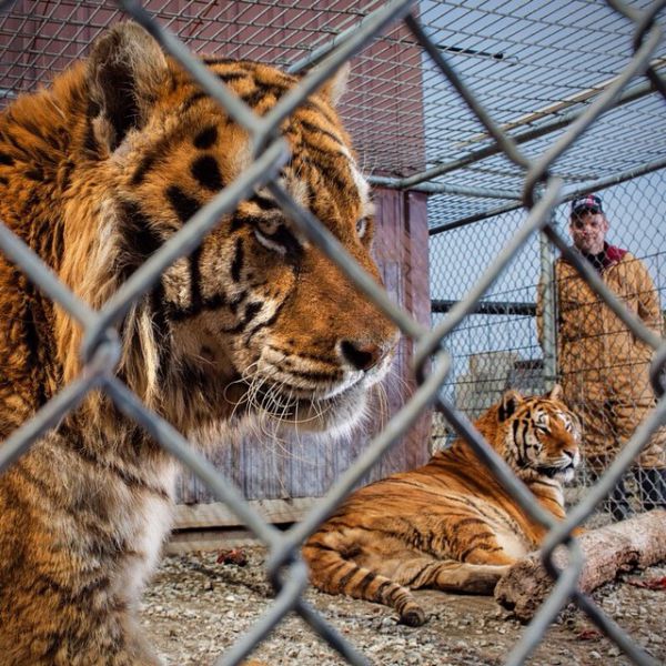 National Geographic’s Stunning and Hard-hitting Instagram Photos
