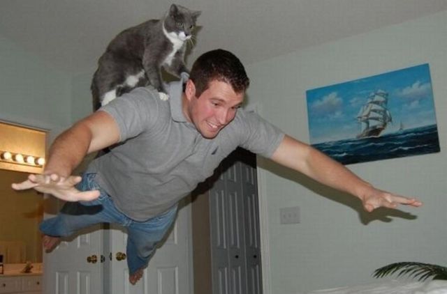 The Cutest, Coolest and Craziest Cat Photos Ever Taken