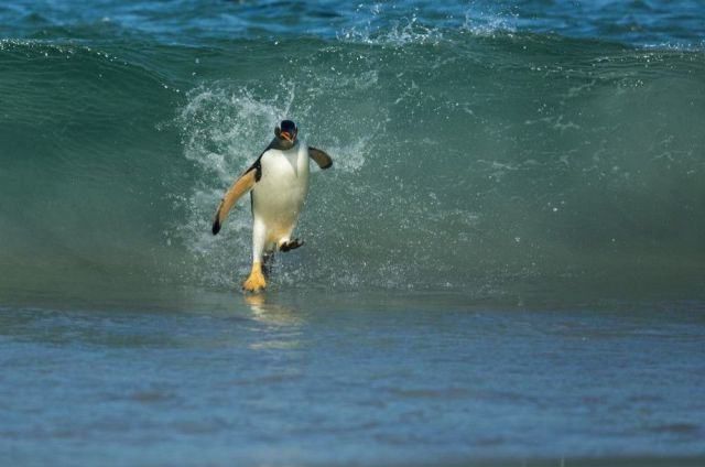 Unusual Sights You Don’t Normally Expect to See