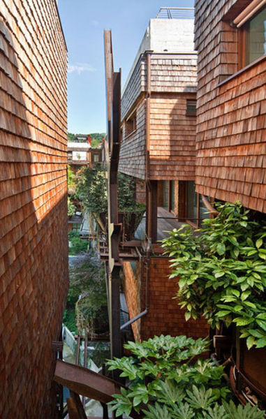 An Urban Treehouse That Is a Sanctuary in the City