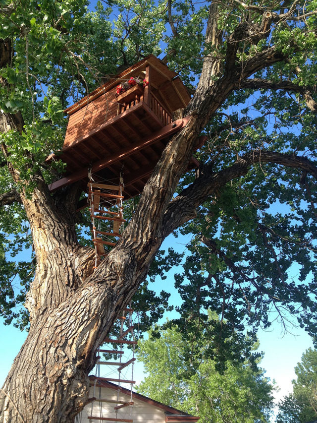 Father Builds an Incredible Tree House for His Daughter