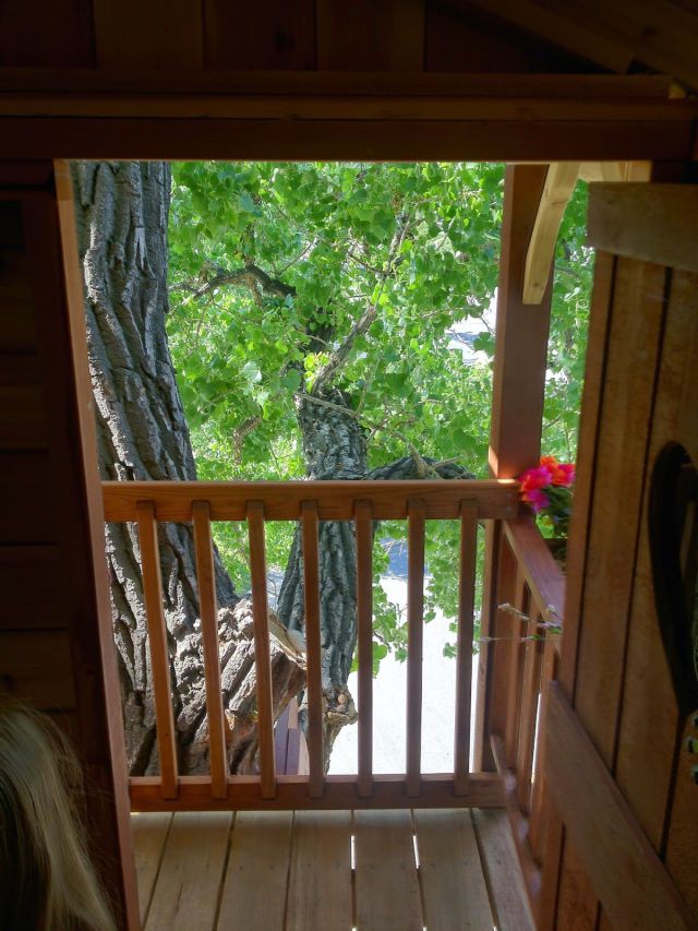 Father Builds an Incredible Tree House for His Daughter