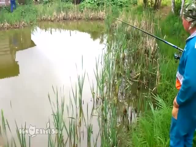 Sneaky Cat Steals Fish Caught by Fisherman  (VIDEO)