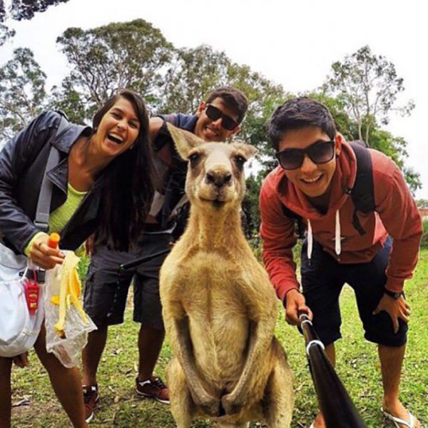 The Top Selfies across the Globe