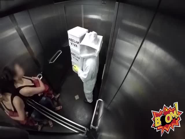Killer Bees Elevator Prank  (VIDEO)