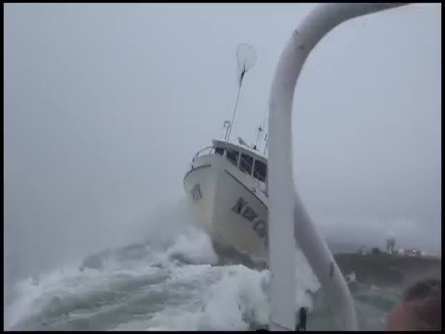 Too Bad There's No Seatbelt on a Boat  (VIDEO)