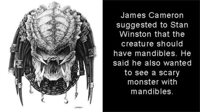 Little Known Facts about the Movie “Predator”