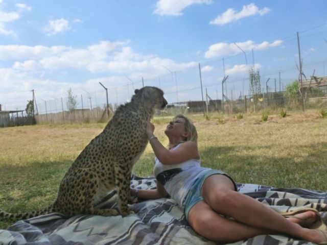 The Girl Who Is Friends with a Cheetah