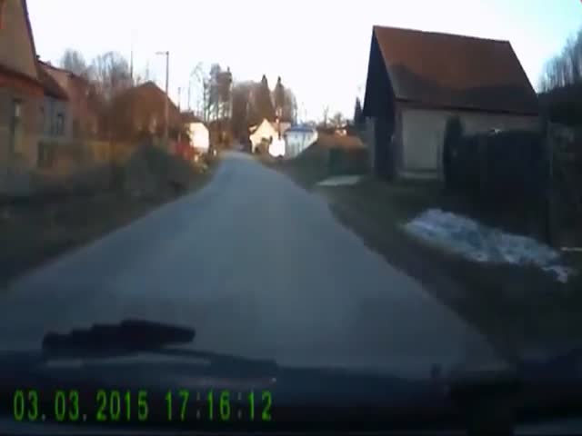 You Get to See a bit of Everything Through Dashcams  (VIDEO)