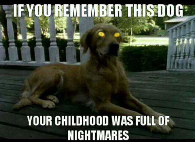 The Fondest Memories from Your Childhood