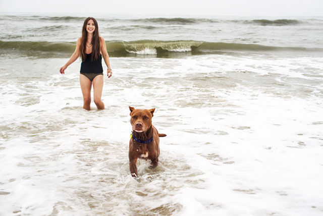 This Pitbull’s Last Family Holiday will Bring You to Tears