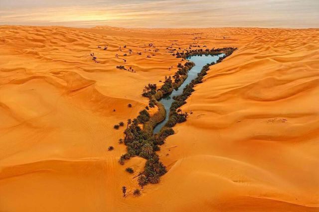 A Spectacular Desert Oasis in the Middle of the Sahara