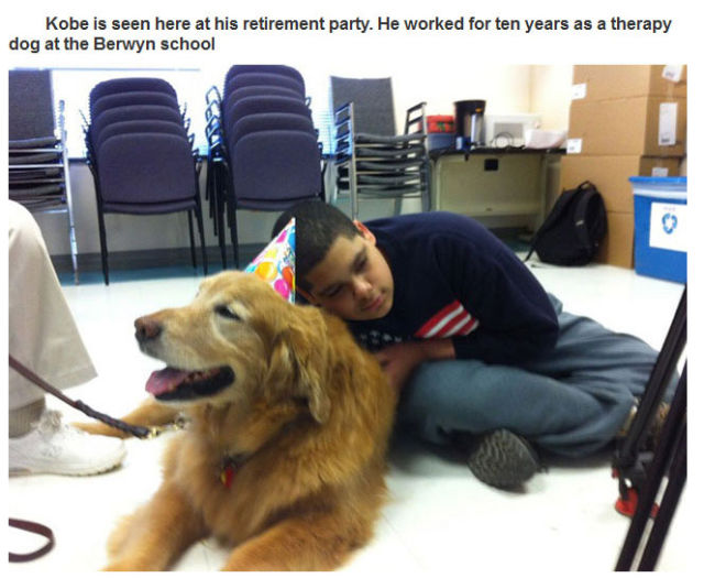 Therapy Dogs Are Four Legged Miracle Workers