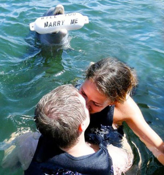 Marriage Proposals That Are Too Cute for Words