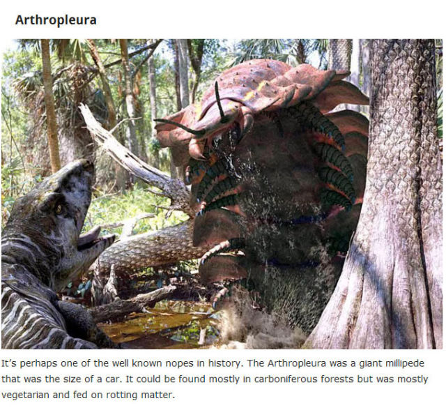 Weird and Wacky Creatures That Once Walked the Earth