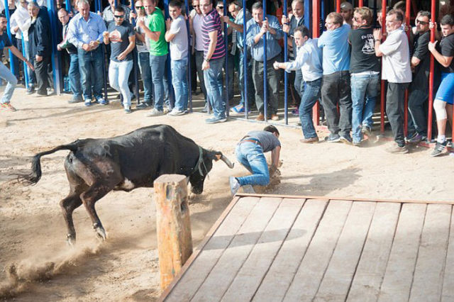 Guy Gets Stabbed in the Butt by an Angry Bull