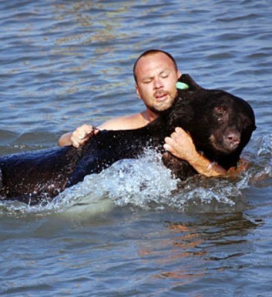 Brave Man Risks Drowning to Save a Sleepy Bear