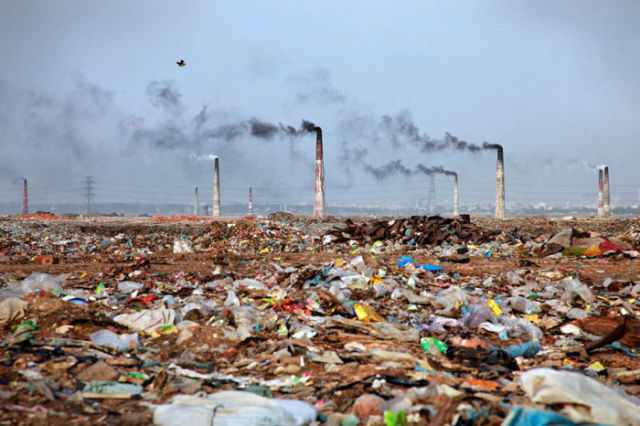 The Truly Horrific Impact of Pollution on Earth