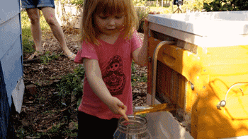 An Innovative Beehive That Delivers Honey on Tap