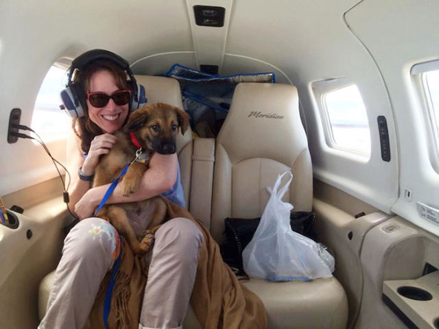 Pilots Save Dogs One Flight at a Time