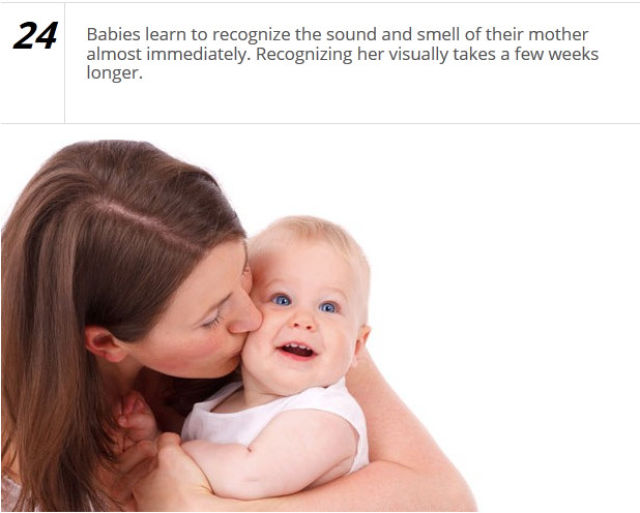 Brush Up on Your Baby Knowledge with These Basic Baby Facts
