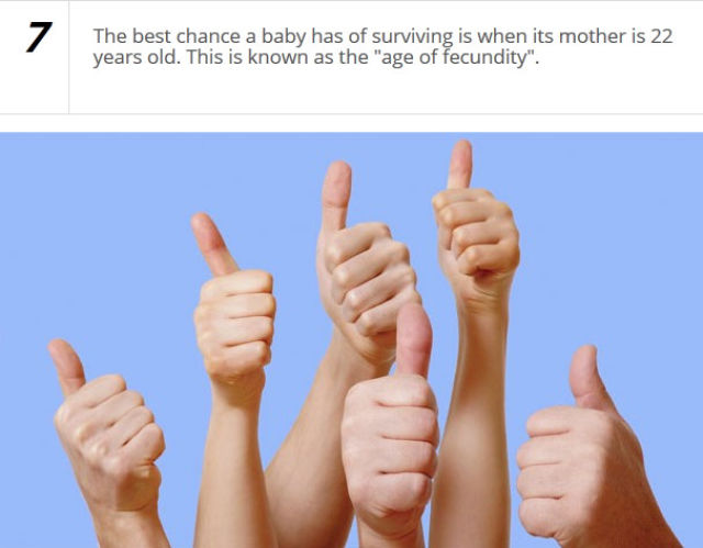 Brush Up on Your Baby Knowledge with These Basic Baby Facts
