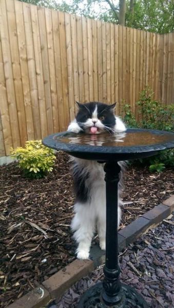 Daily Picdump