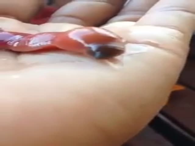 This Marine Ribbon Worm Is Terrifyingly Creepy  (VIDEO)